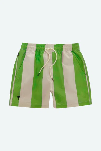 Oas Swim Shorts In Emerald Stripe In Green