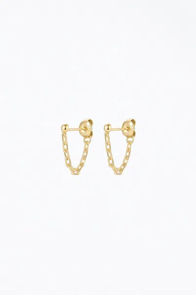 F+h Studios Bruce Chain Studs In Gold In Gold