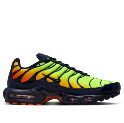Nike Air Max Plus Sneakers In Black