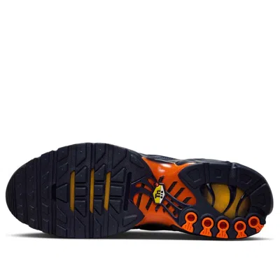 Nike Air Max Plus Sneakers In Black