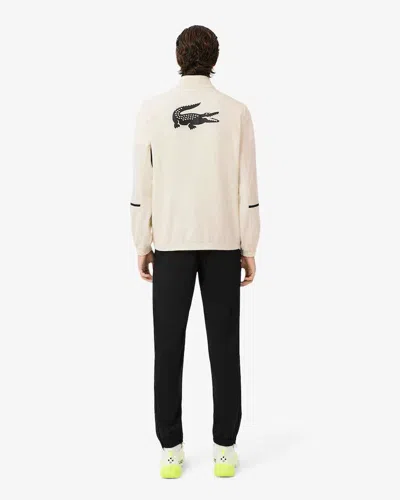 Lacoste Pants In Multi