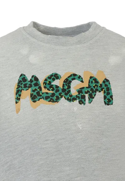 Msgm Grey Sweatshirt For Boy With Writing In Gray