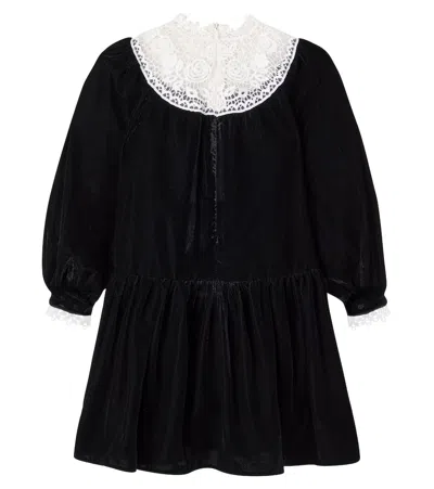 Petite Amalie Lace-trimmed Velvet Dress In Black