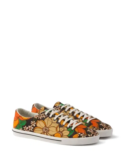 Prada Laced Floral Print Canvas Sneakers In Brown