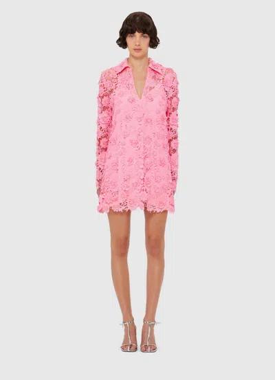 Leo Lin Acacia Guipure Lace Mini Polo Dress In Pink