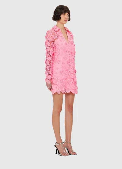 Leo Lin Acacia Guipure Lace Mini Polo Dress In Pink