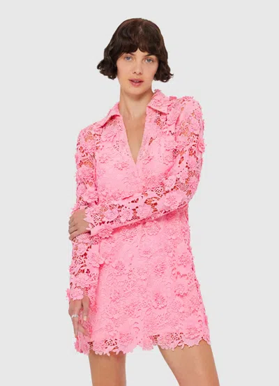 Leo Lin Acacia Guipure Lace Mini Polo Dress In Pink