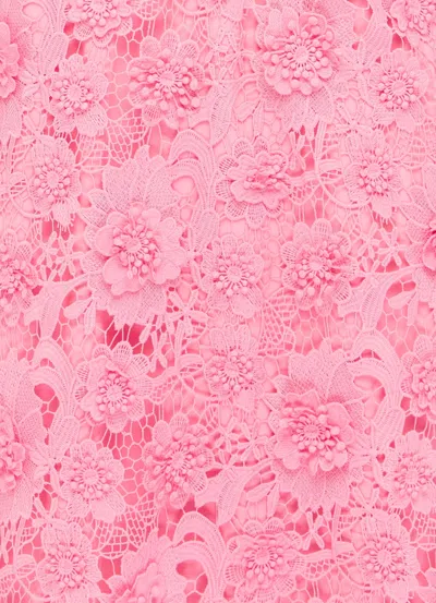Leo Lin Acacia Guipure Lace Mini Polo Dress In Pink