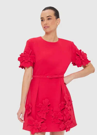 Leo Lin Aurelie Applique Mini Dress In Red