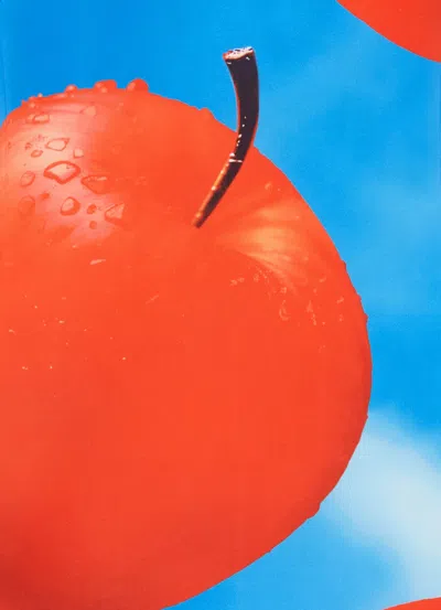 Leo Lin Briana V Neck Mini Dress - Apple Print In Blue