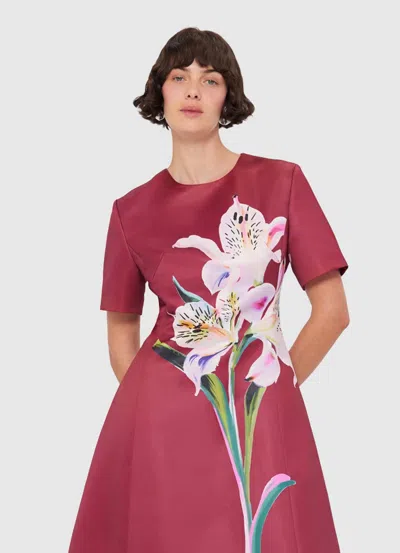 Leo Lin Caroline Floral-print Short-sleeve Dress In Brown