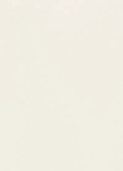 Leo Lin Celestine Wool Blend Coat Dress In White