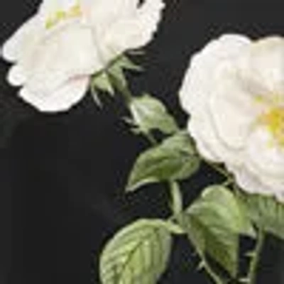 Leo Lin Cleo Flower-embellished Sleeveless Dress In Black