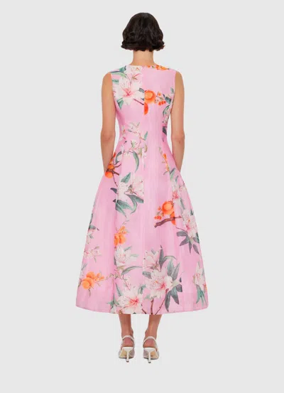 Leo Lin Cleo Sleeveless Midi Dress In Lavish Print In Pink