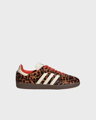 Adidas Originals Celine Low Lace-up Sneakers With Triomphe In Multi