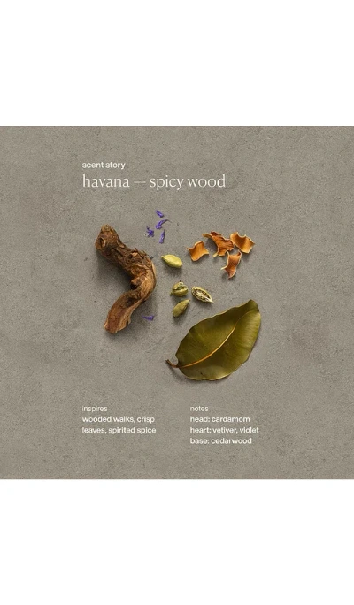 Evolvetogether Provence Nutrient Rich Body Cream In White