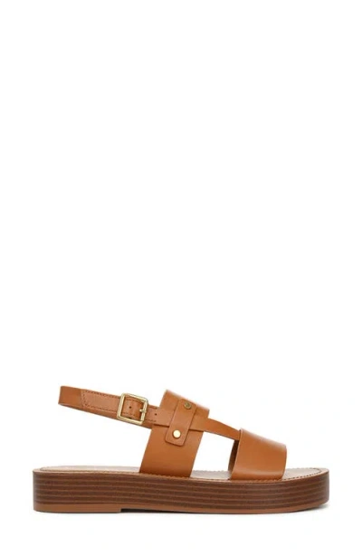 Franco Sarto Women's Genova Round Toe Platform Sandals In Burgundy