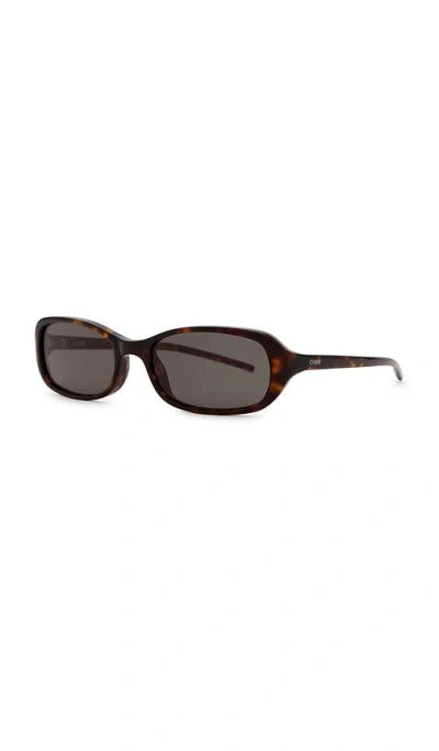 Chimi Code Sunglasses In Brown