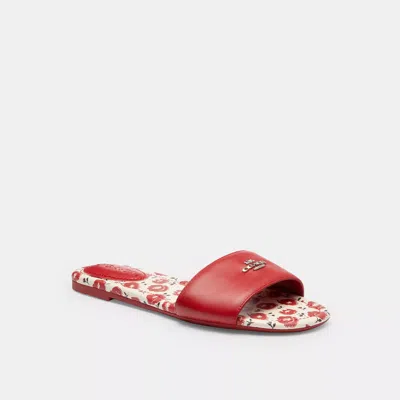 Coach Slide Sandal With Floral Print In Red