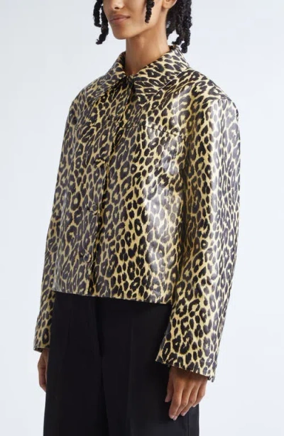 Jil Sander Leopard Print Coated Linen Crop Jacket In Animal Print