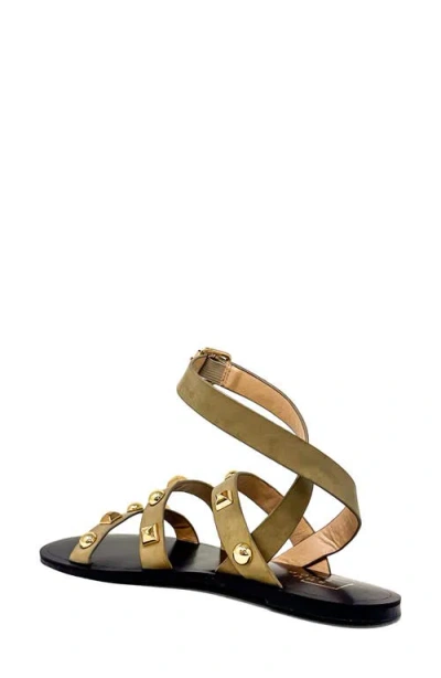 Shushop Daphne Studded Gladiator Sandal In Animal Print