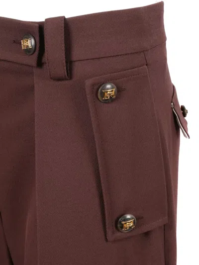 Elisabetta Franchi Merlot Pants In Brown