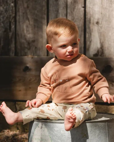 Deux Par Deux Organic Cotton Pant And Top Set Tree In Brown