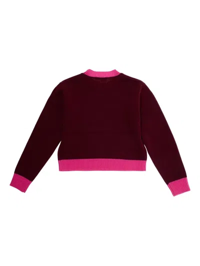 Marni L And Cashmere Sweater With Logo Kids In Brown