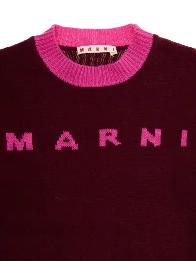 Marni L And Cashmere Sweater With Logo Kids In Brown