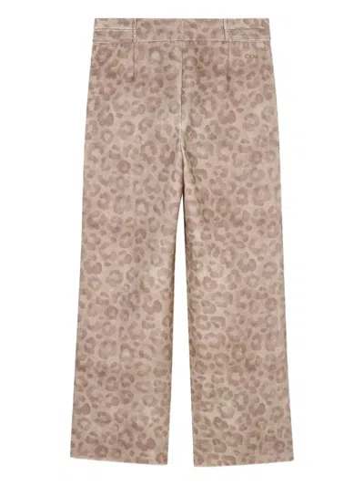 Chloé Leopard-print Trousers In Multi