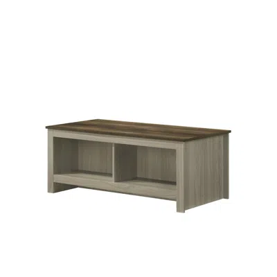 Lilola Home Nyla 43"w Gray Oak Coffee Table With Open Shelves Front And Back In Gray