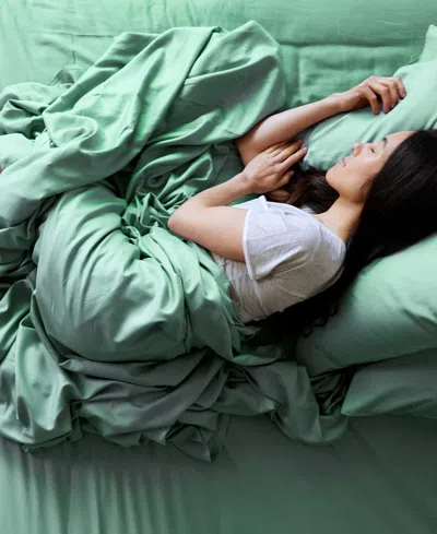 Bedvoyage Luxury Rayon From Bamboo 4-pc. Sheet Set, Queen In Green