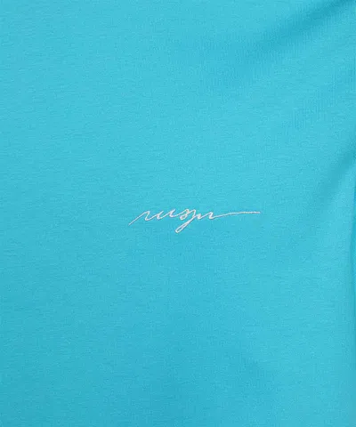 Msgm Embroidered-logo Cotton T-shirt In Blue