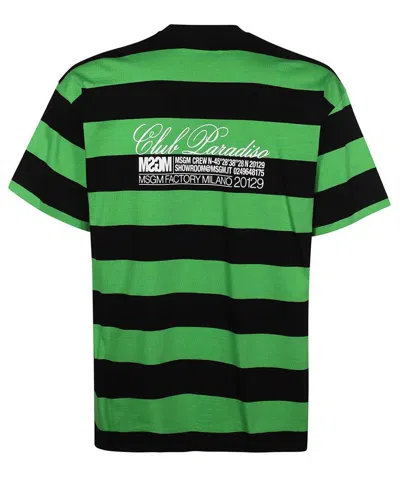 Msgm Striped-pattern Cotton T-shirt In Green