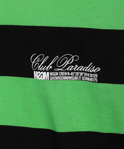 Msgm Striped-pattern Cotton T-shirt In Green