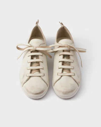 Prada Laced Shoes In Multi