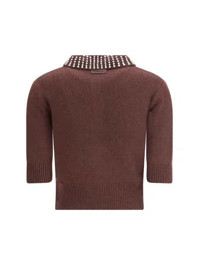 Pinko Pull Polo In Brown