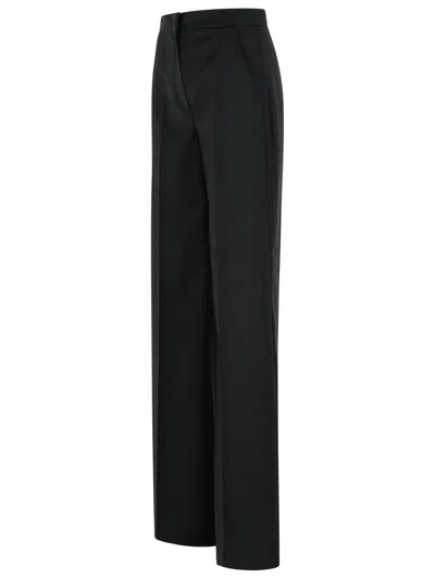 Max Mara Fernet Wide-leg Pants In Black