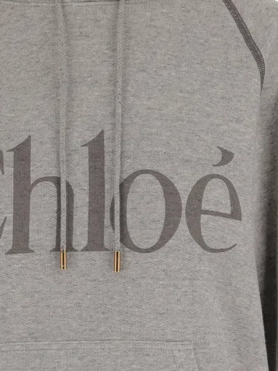 Chloé Cotton Blend Logo Hoodie In Gray