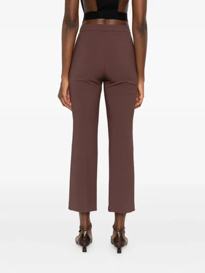 Elisabetta Franchi Cropped Brown Straight-leg Trousers With High Waist In Multi