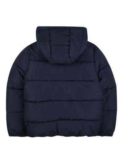 Bosswear Hooded Puffer Jacket In Blue