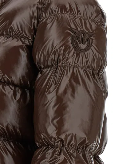 Pinko Eleodoro Puffer Jackets Brown In Multi