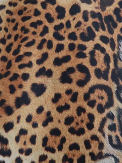 Roberto Cavalli Multicolour Jaguaro T-shirt In Neutrals