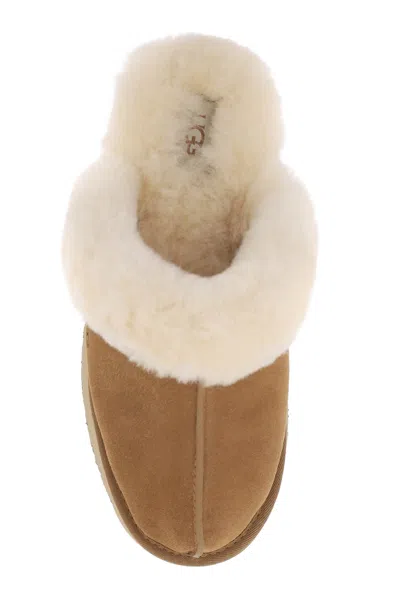 Ugg Disquette In Brown
