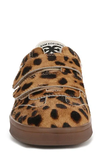 Sam Edelman Talia Velcro Sneaker Leopard Brahama Hair Leather In Brown