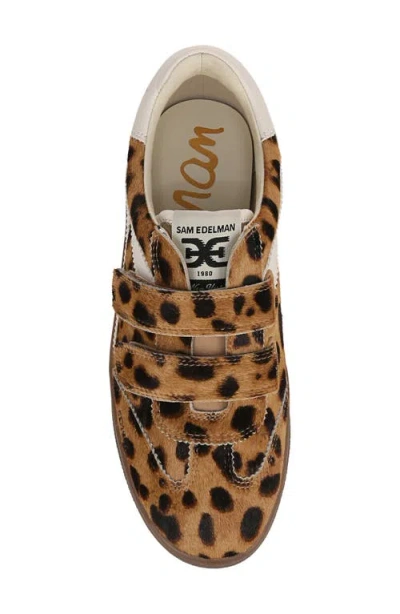 Sam Edelman Talia Velcro Sneaker Leopard Brahama Hair Leather In Brown