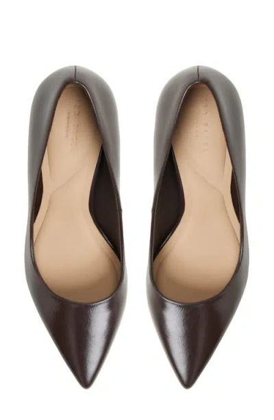 Ted Baker Pointed Toe Pump In Brown