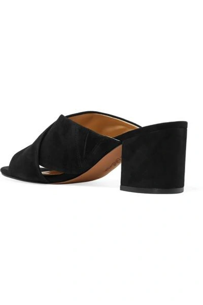 Shop Sam Edelman Stanley Suede Mules