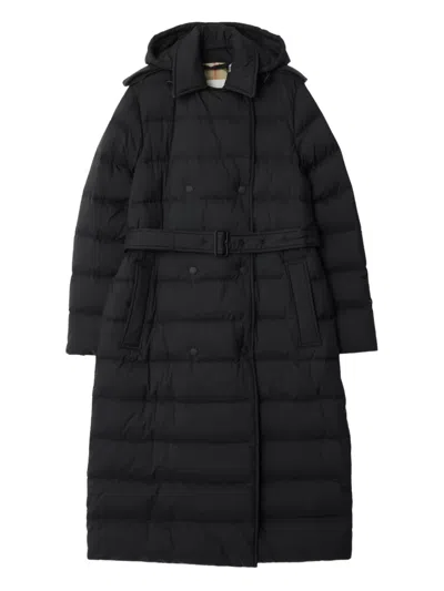 Burberry Hooded Belted Padded Coat In Black