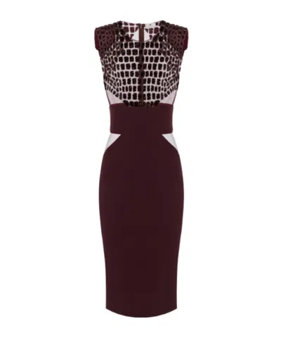 Elisabetta Franchi Fitted Midi Dress With Glossy Embellishments In Brown